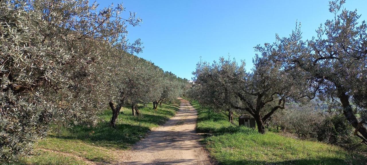 ספלו Domus Antiqua Bed & Breakfast מראה חיצוני תמונה