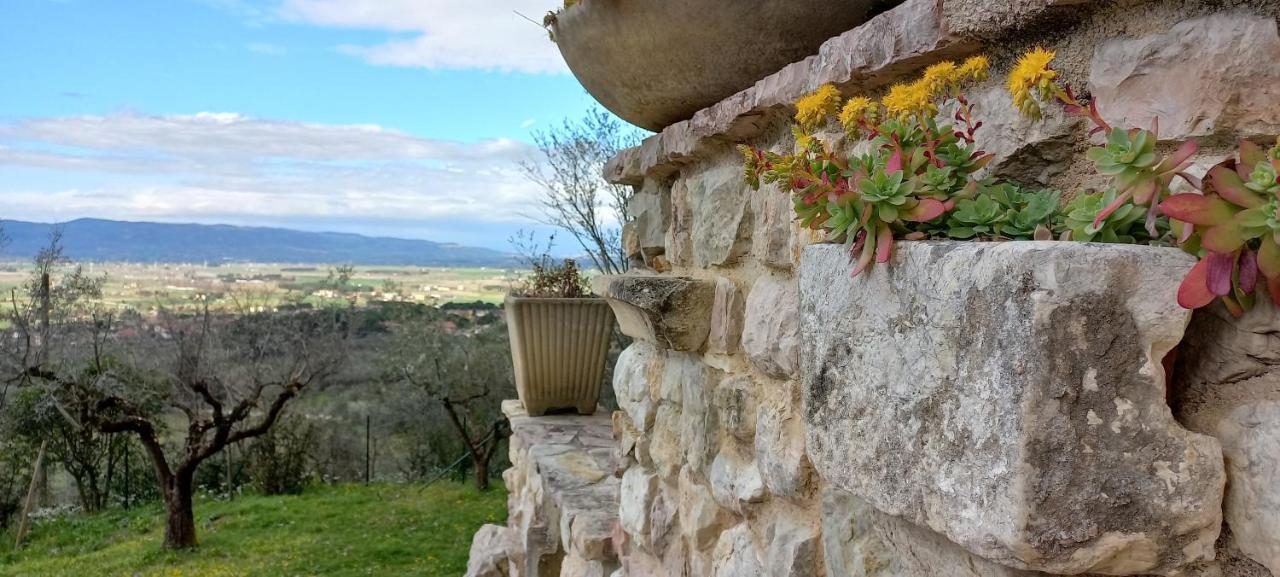 ספלו Domus Antiqua Bed & Breakfast מראה חיצוני תמונה
