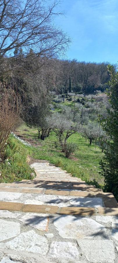 ספלו Domus Antiqua Bed & Breakfast מראה חיצוני תמונה