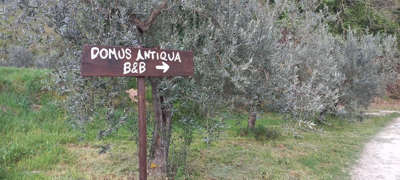 ספלו Domus Antiqua Bed & Breakfast מראה חיצוני תמונה