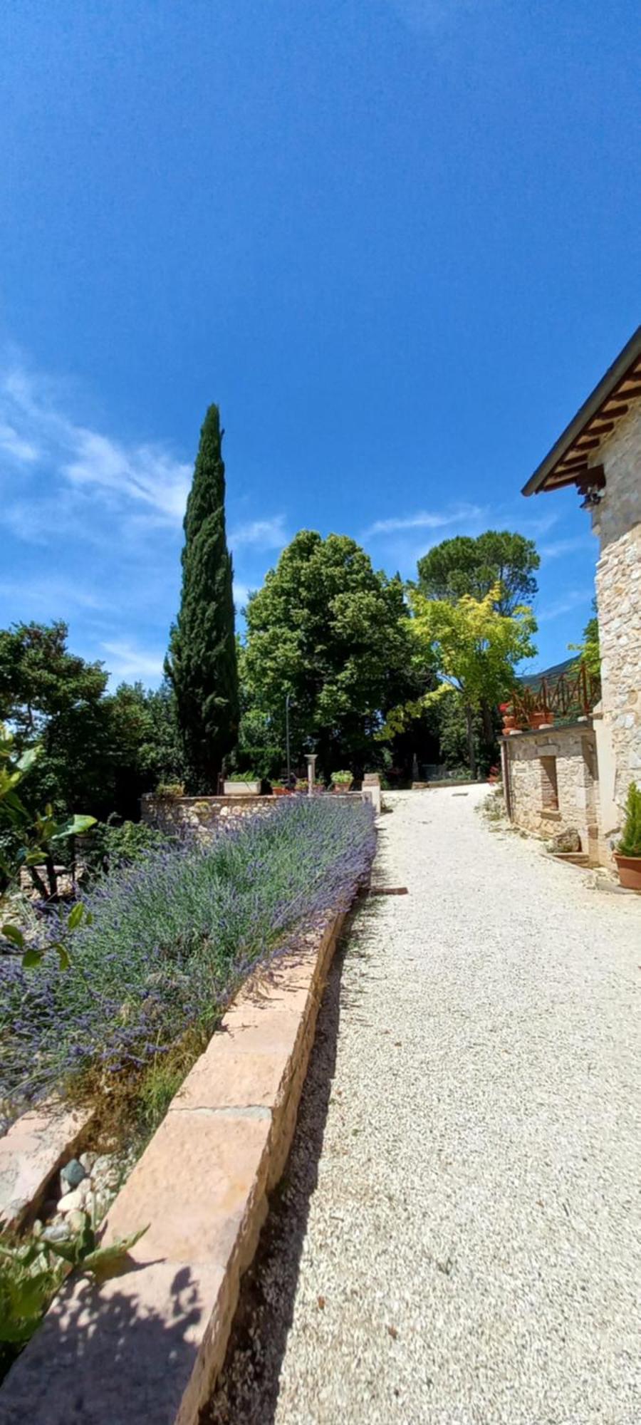 ספלו Domus Antiqua Bed & Breakfast מראה חיצוני תמונה