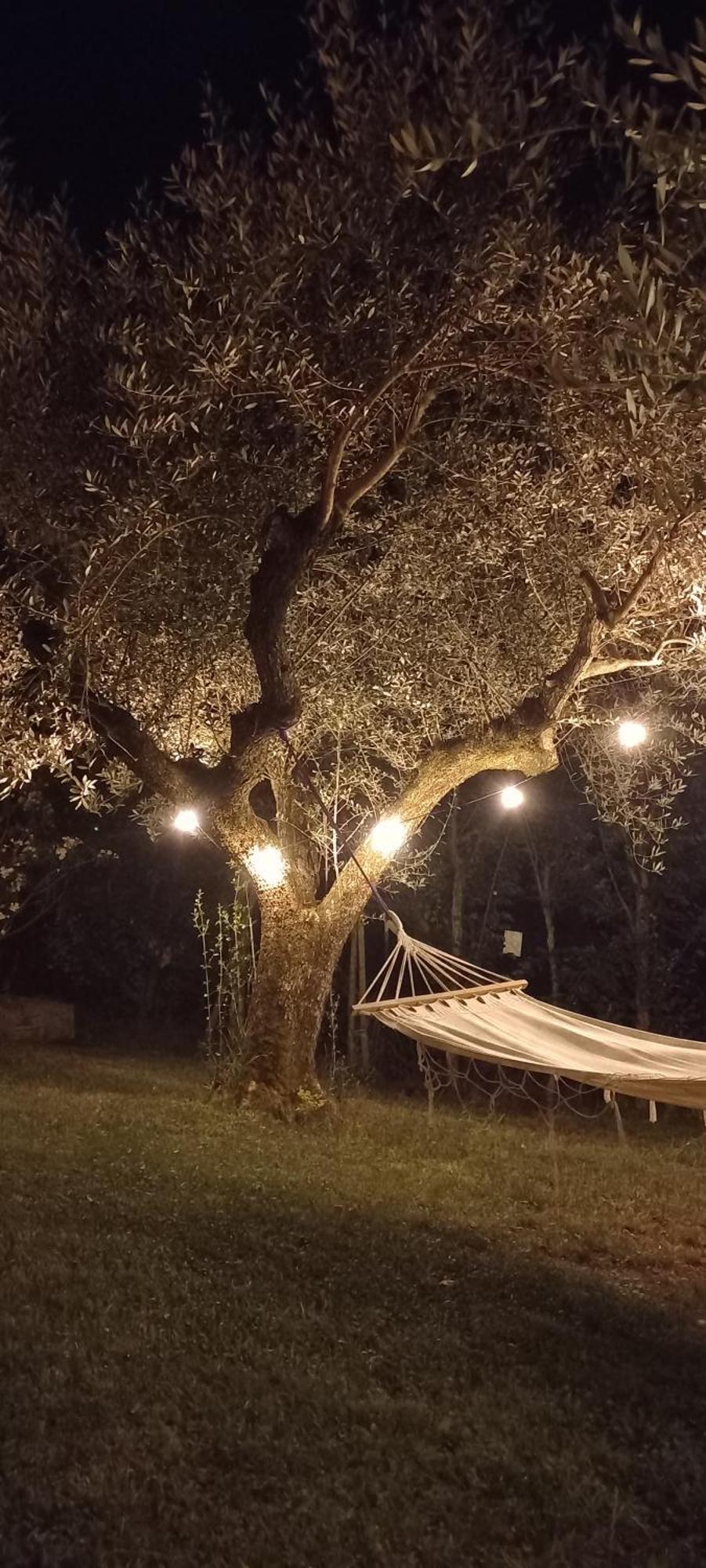 ספלו Domus Antiqua Bed & Breakfast מראה חיצוני תמונה